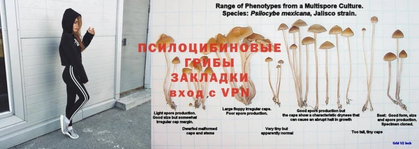 марки lsd Балабаново