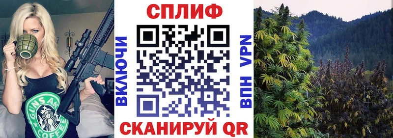 Купить  Дивногорск  Бошки Шишки гибрид 